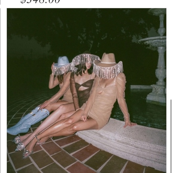 The Bar jean dress in champagne sold out online - Picture 4 of 4